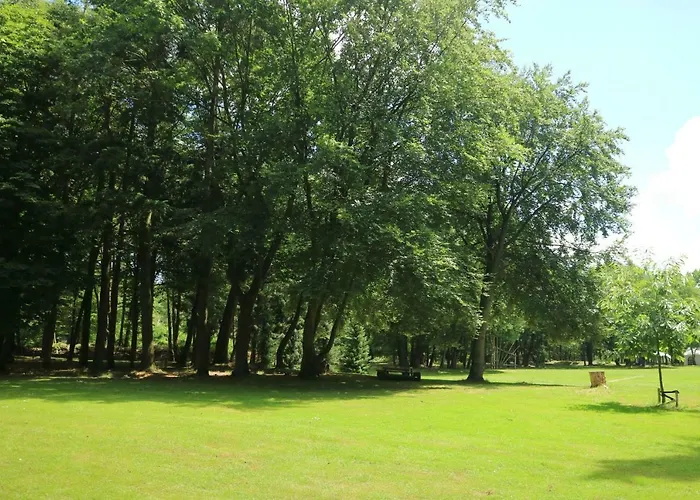 Отель 50|50 Belmont